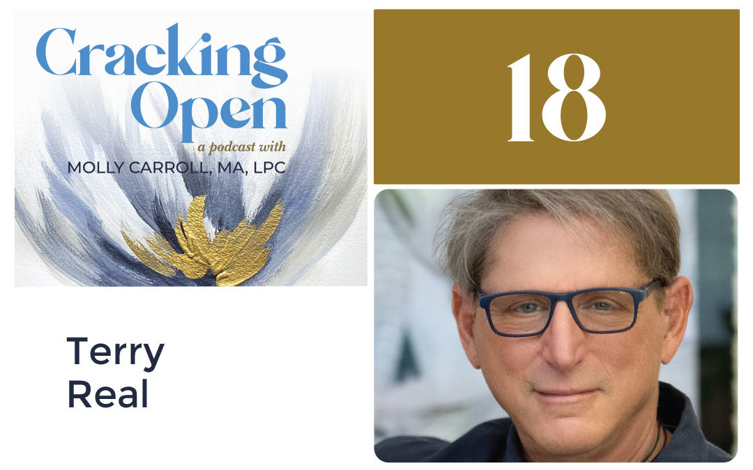 Episode 18: Therapist and New York Times Best Selling Author, Terry Real, Teaches Us How To Heal Our Trauma, and Reconnect With Our Partners To Create Healthier Relationships