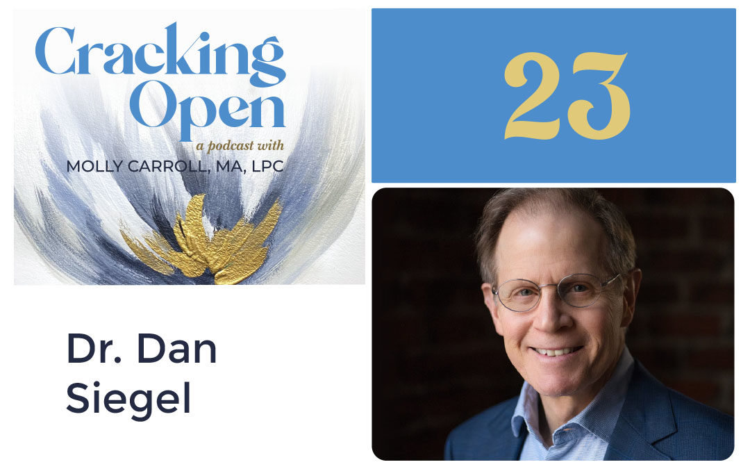 Episode 23: Dr. Dan Siegel, UCLA School of Medicine Professor, Is Using Science To Bring More Compassion Into the World