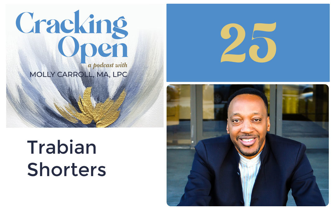 Episode 25: Learn How To Live More in Your Heart While Looking at Your Biases, With BMe Co-Founder and Developer of Asset Framing, Trabian Shorters
