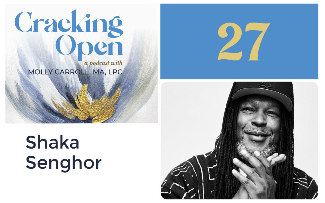 Episode 27: Learn How 19 Years in Prison, Telling the Truth and Vulnerability Gave Shaka Senghor Freedom