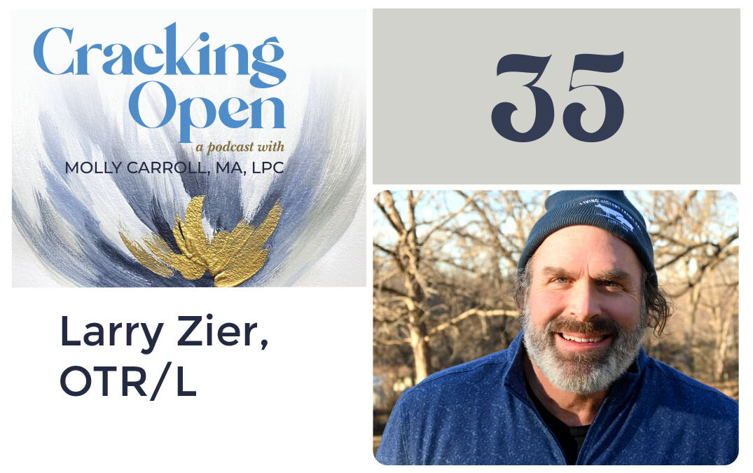 Episode 35: Larry Zier, OTR/L on facing Grief and Sobriety to shape your Life Experience and Parenting