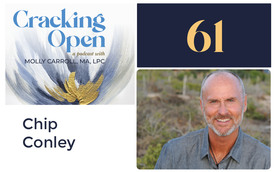 Episode 61: Chip Conley on Learning to Love Midlife and Adding Years to Your Life